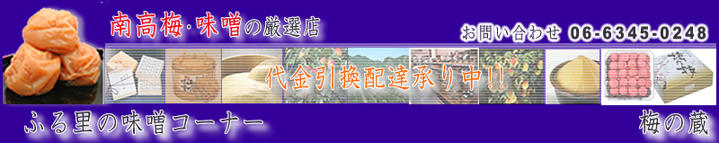 썂~,X̌IX,ӂ闢̖XR[i[,~̑,X`,,݂`,~,I,݂͂,,